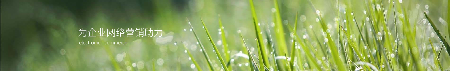 ӱַƼ޹˾